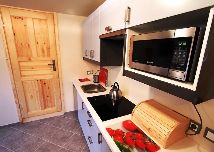 Apartment Karola Stryi